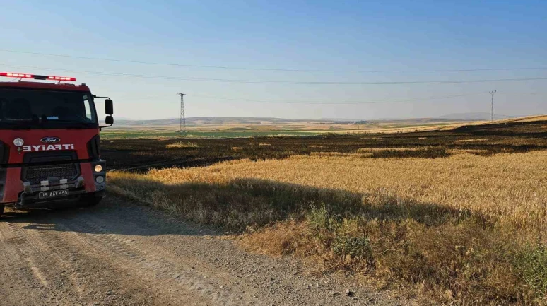 Çorum’da 15 dönüm buğday ekili tarla alevlere teslim oldu