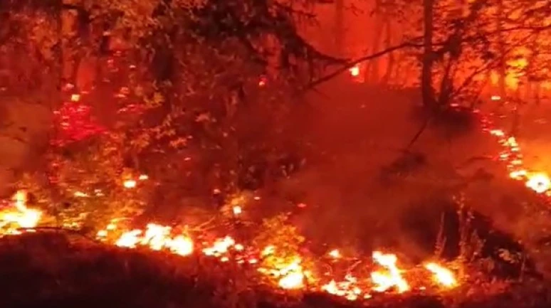 Bir bölgede daha orman yangını çıktı