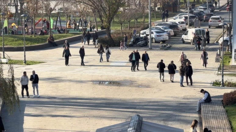 Domuz gribi vakalarında artış