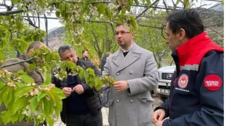 Amasya’da Zirai Don Desteği Ödemeleri Başladı