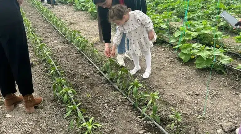 Merzifon’da Serada Uygulamalı Eğitim