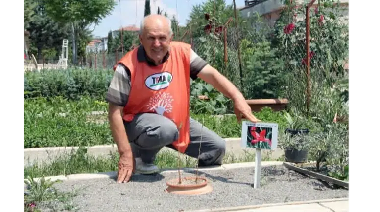 TEMA’dan Kritik Uyarı: “Doğadaki Sessiz Yok Oluş Geleceği Tehdit Ediyor”