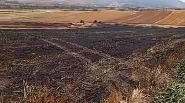 Doluca Köyü'nde Arazi Yangını! Ekili Alan Kül Oldu