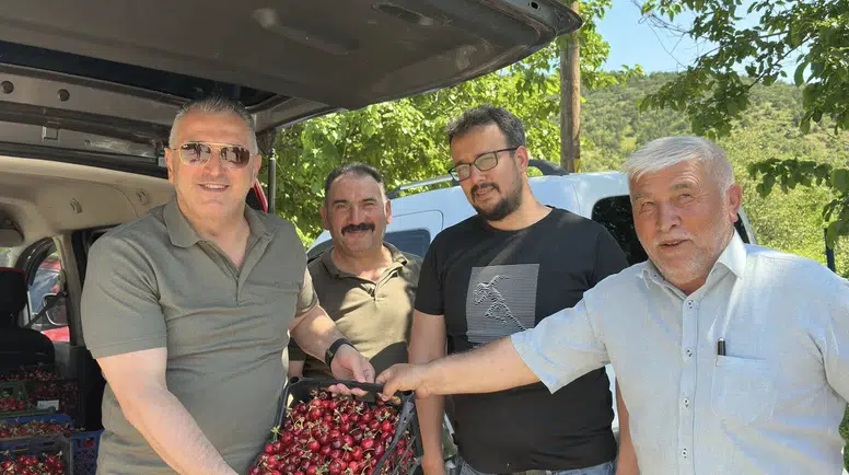 Vekil Hasan Çilez Amasya'da Kiraz Hasadına Katıldı