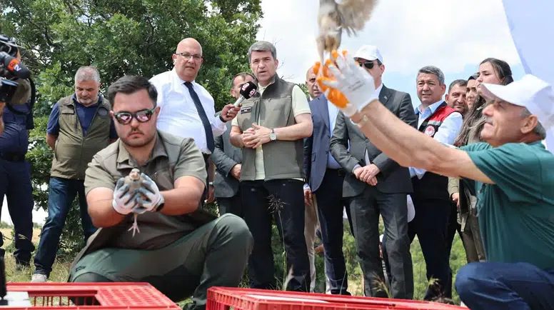 Amasya'da Doğaya Yüzlerce Kınalı Keklik Salındı