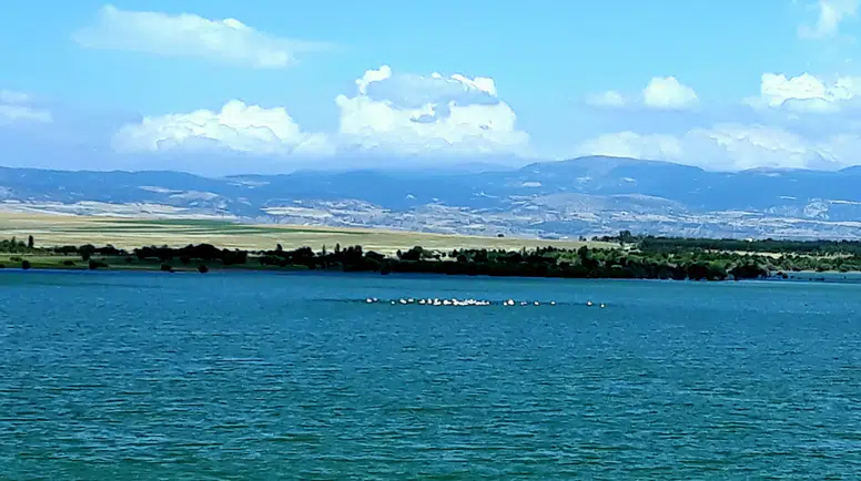 Amasya'da Baraj Alarmı Değil, Bereket Var!