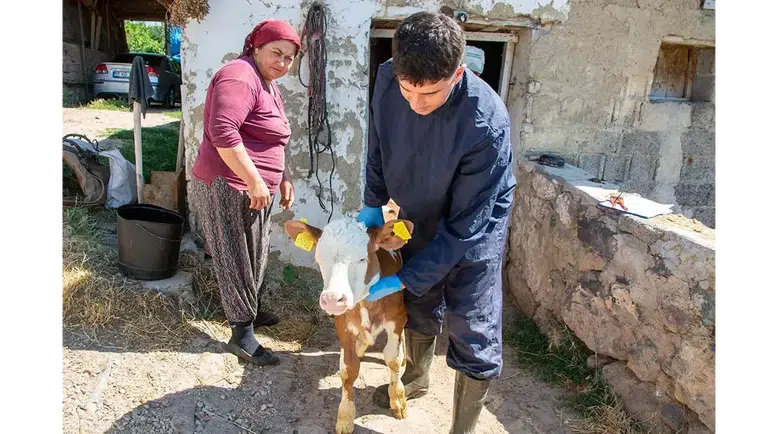 Amasya'da Hayvancılıkta Kayıt Sistemi Güçleniyor
