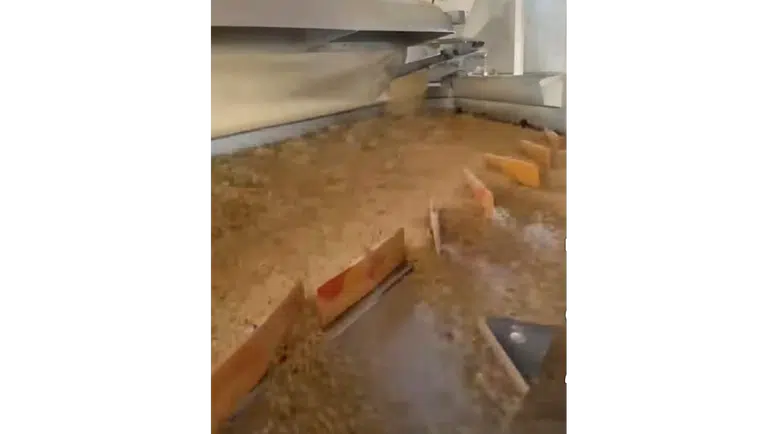 Merzifon'da Tohum Eleme Tesisi Üreticilerin Hizmetinde!