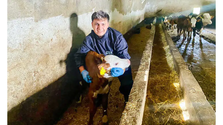 Amasya DSYB’den Küpeleme Çalışması