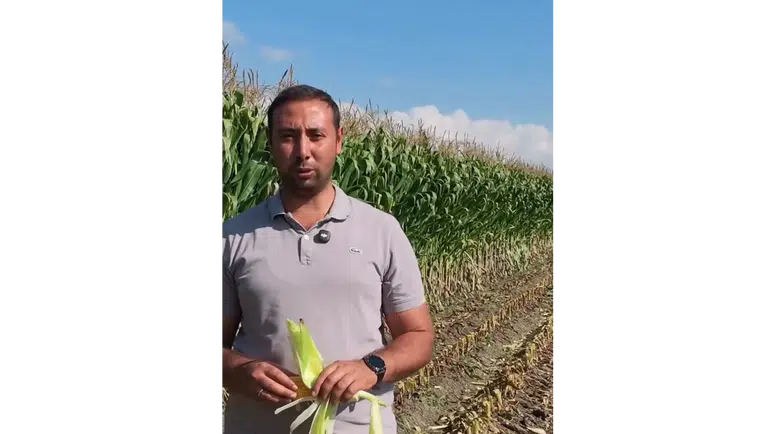 Amasya’da Mısır Silajı Mesaisi Başladı!