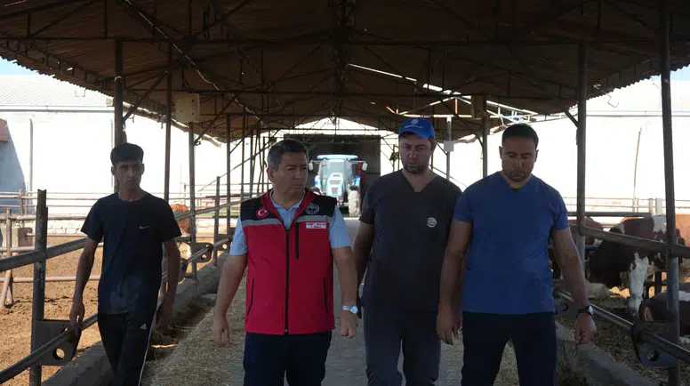 Amasya’da Hayvancılığa Sıkı Takip!