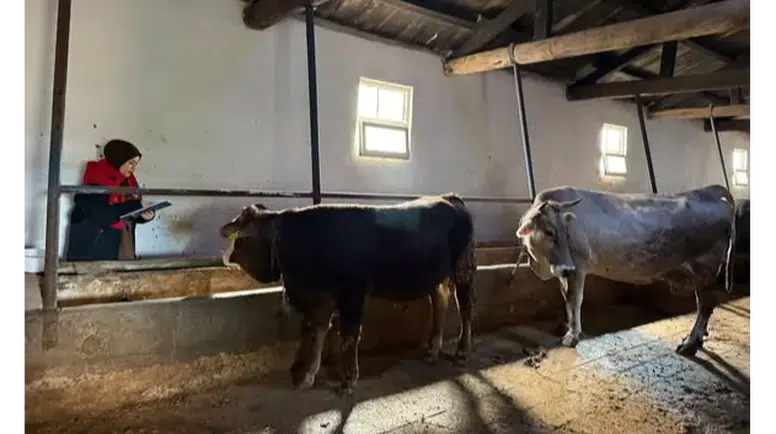Suluova’da Tarım Ekipleri Sahaya İndi!