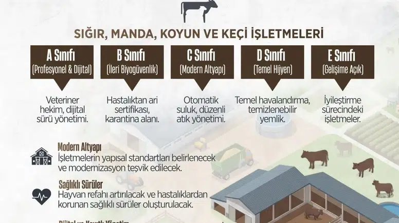 Merzifon’da Hayvancılıkta Yeni Dönem!
