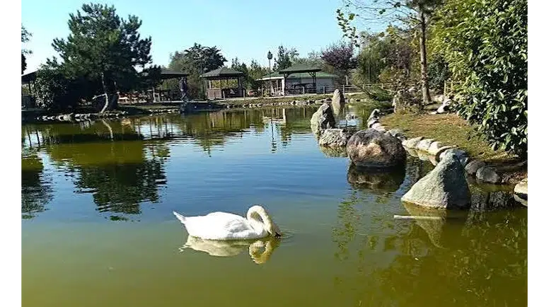 Yedikır Suluova’da mı, Merzifon’da mı Parlar?