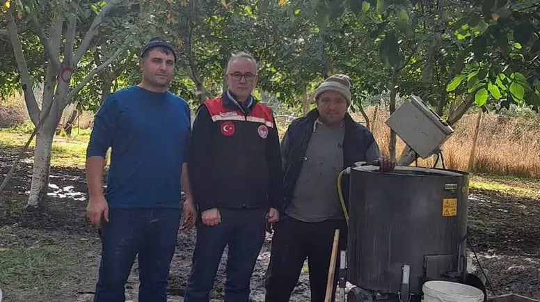 Hamamözü’nde Ceviz Hasadı Devam Ediyor