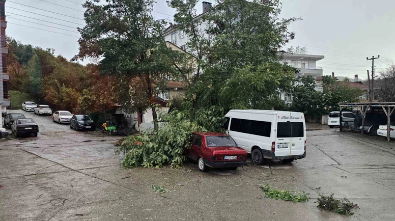 Fırtına çatıları uçurdu, ağaçları devirdi