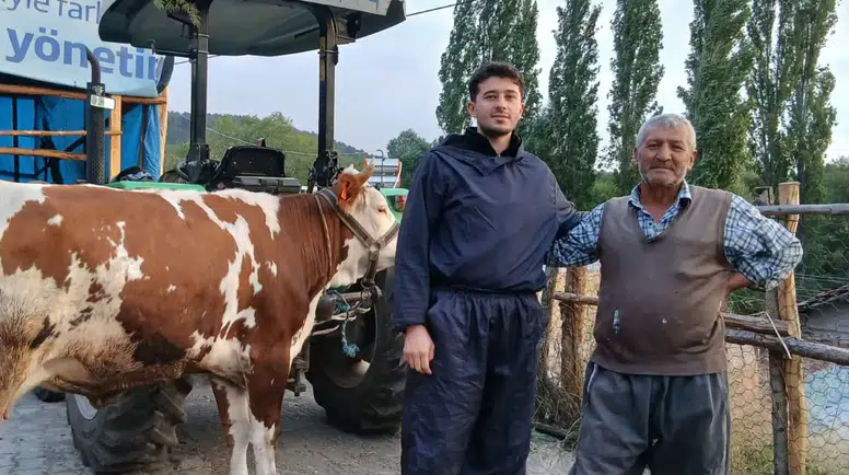 Amasya’da Hayvan Islahı Sahada