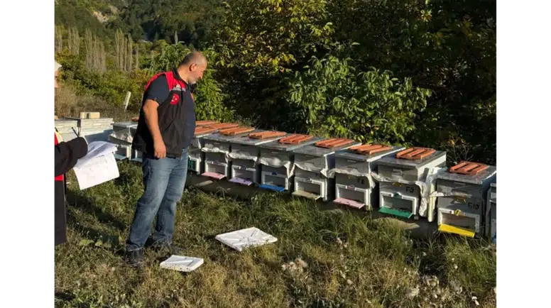 Suluova’da Arıcılık İçin Harekete Geçildi!