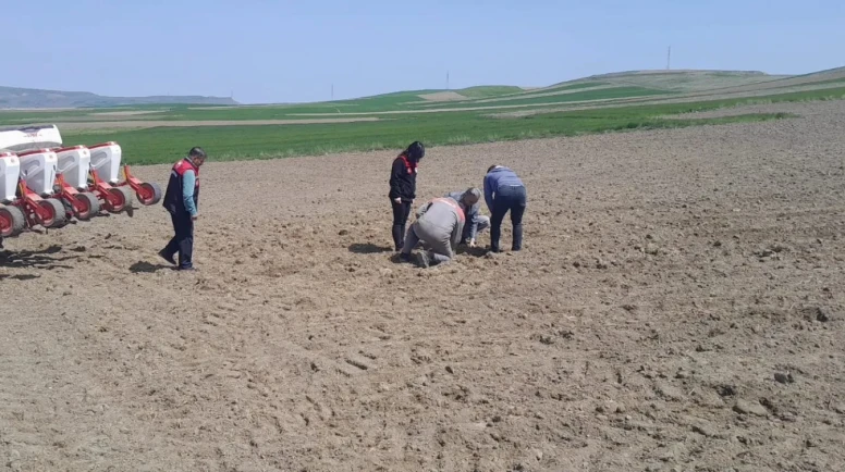 Merzifon’da Tarım Ekipleri Sahaya İndi!