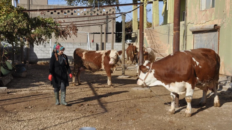 Kırsala Dönüş Başlıyor: Gençlere Maaşlı Üretim Modeli