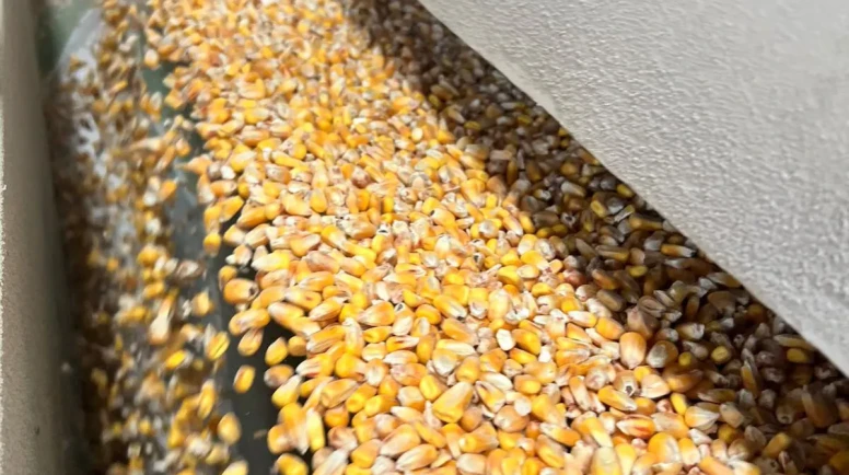 Amasya'da Saatte 5 Tonluk Dev Tesis!