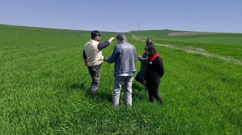 Merzifon’da Tarım Arazilerinde Yoğun Çalışma