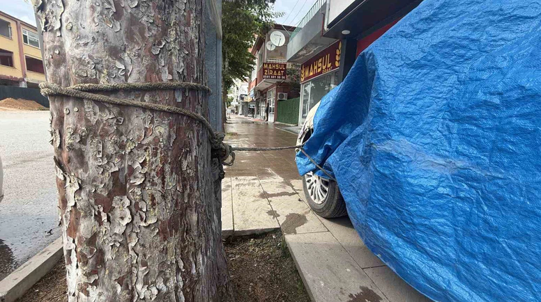 Taşkın Önlemi Dikkat Çekti: Otomobilini Ağaca Bağladı