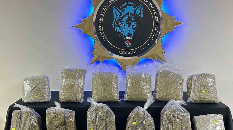 Çorum’da 9 kilo skunk ele geçirildi: 1 tutuklama