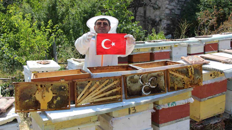 Amasya’da arıların seçimi sonuçlandı