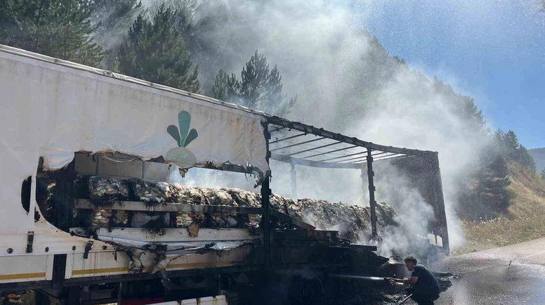 Şeker Yüklü Tır Alev Aldı: Yangın Ormanlık Alana Sıçradı