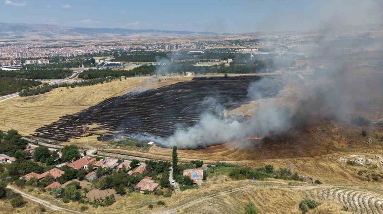 Çorum’da Yangın Paniği: 40 Dönüm Zarar Gördü