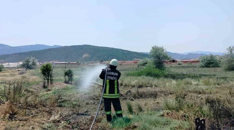 Çorum’da korkutan arazi yangını