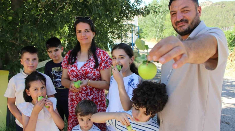 Don felaketinden korunan elmaları satmayıp bahçesine gelenlere ikram ediyor