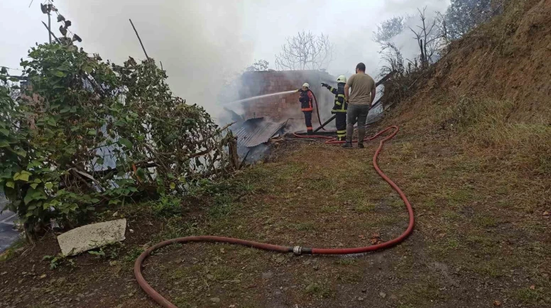 Yangın paniği: 4 ev küle döndü