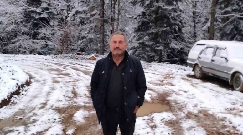 Devrilen ağacın altında kalan işçi hayatını kaybetti