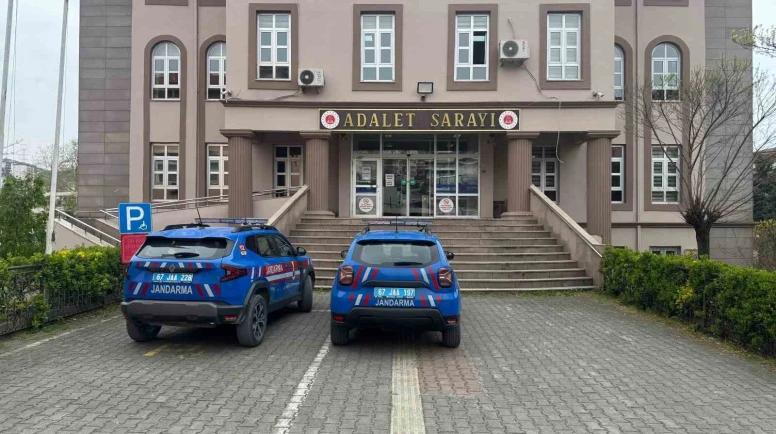 "Bahçedeki Süs Bitkileri Arasında Uyuşturucu Kaktüs Bulundu"