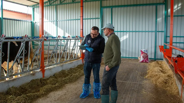 Amasya’da Hayvancılığa Can Veren Proje!