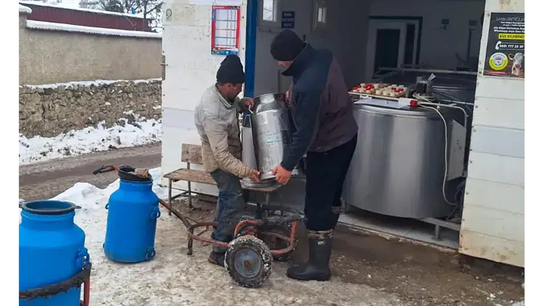 Amasya DSYB Gümüştepe’de Kaliteli Süt Üretimi