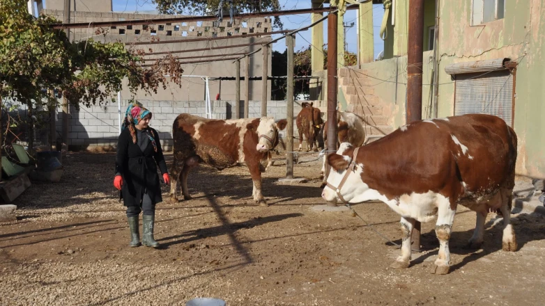 Kırsala Dönüş Başlıyor: Gençlere Maaşlı Üretim Modeli