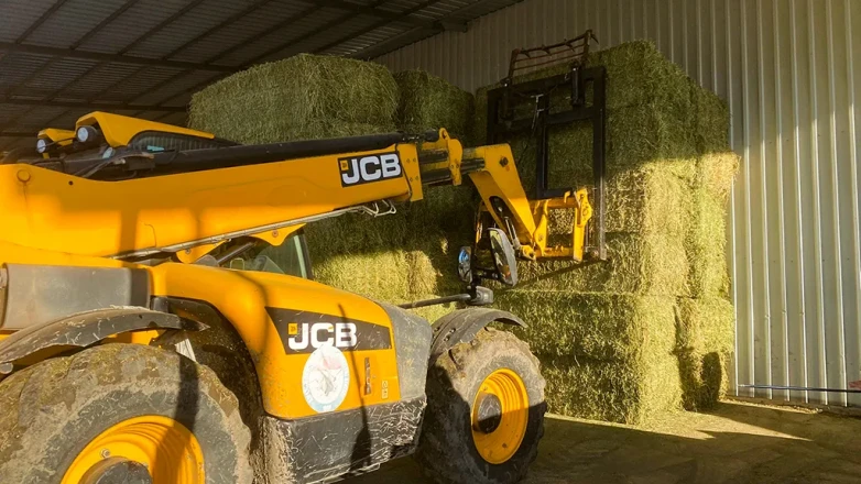 Amasya’da Yem Krizine Net Çözüm