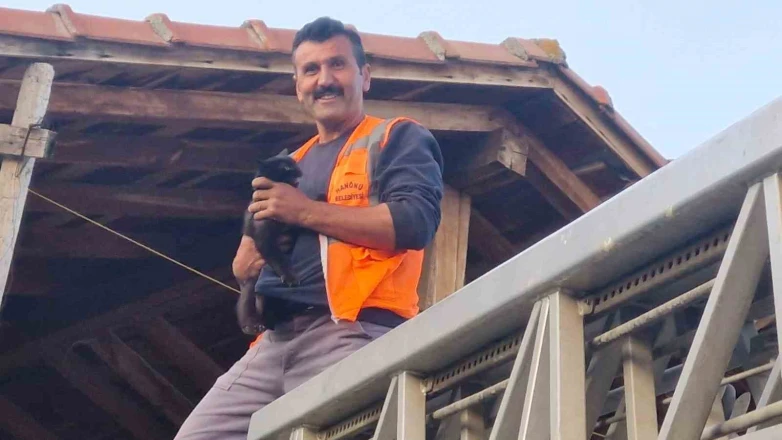 Evin çatısında mahsur kalan kediyi itfaiye ekipleri kurtardı