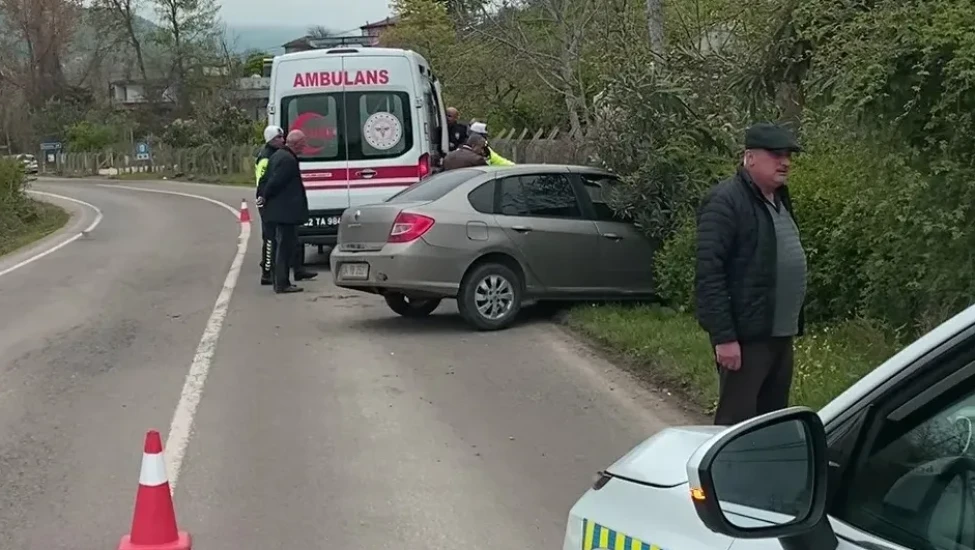 Sokak köpeklerine çarpmamak için kaza yaptı: 2 yaralı