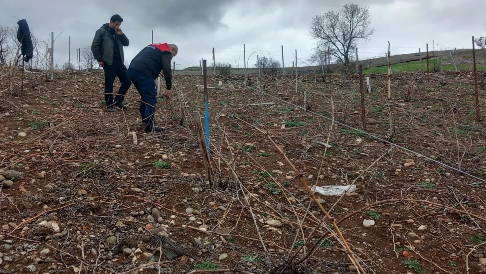 Amasya’da Modern Sistemle Budama Eğitimi