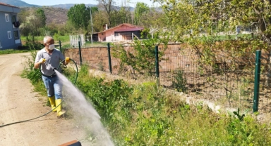 Hamamözü’nde İlaçlama Çalışmaları Devam Ediyor