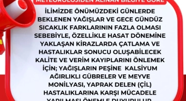 Amasya'da Kiraz Üreticilerine Yağış ve Sıcaklık Uyarısı