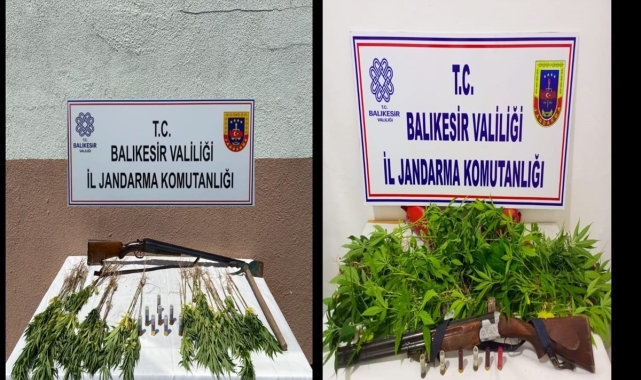 Jandarmadan kenevir operasyonu