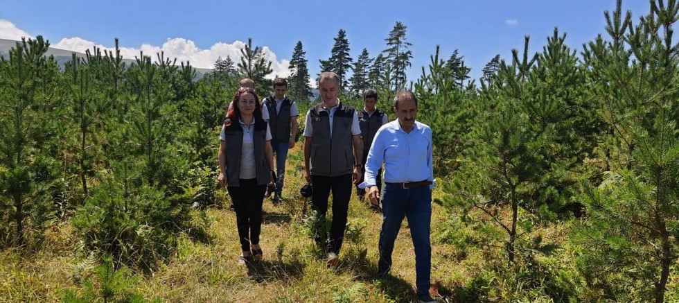 ORMAN VARLIĞINI KORUMAK, ÇOĞALTMAK KADAR ÖNEM ARZ ETMEKTEDİR