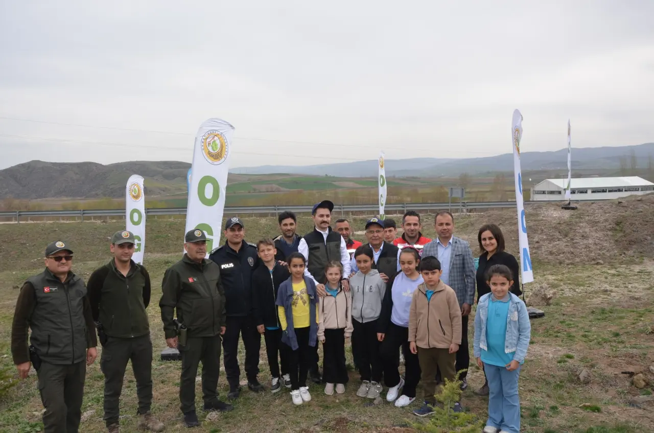 Göynücek'te Ormanlara Yeni Nefes! 3
