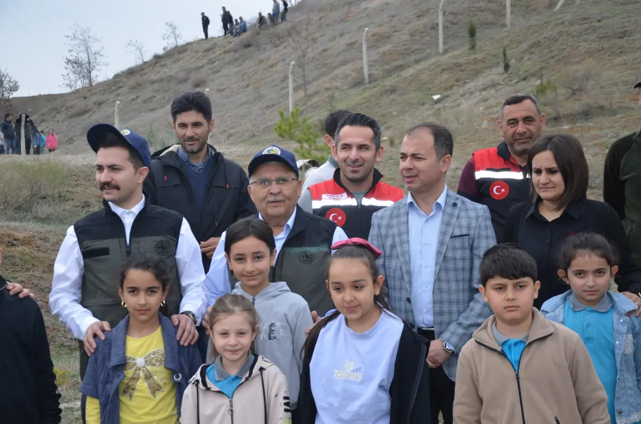 Göynücek'te Ormanlara Yeni Nefes! 2