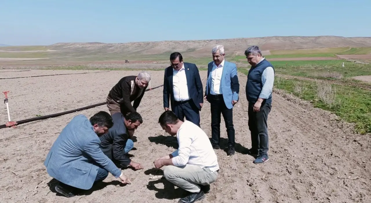 AK Partili Heyet, Zirai Dondan Etkilenen Köyleri Ziyaret Etti 1